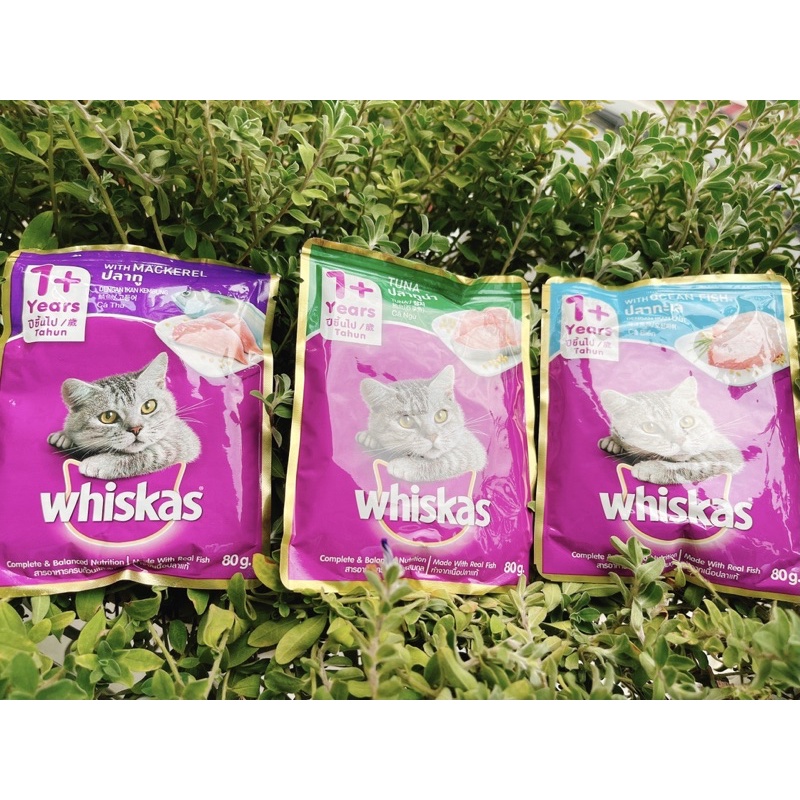 Pate Whiskas Mèo Lớn Gói 80G