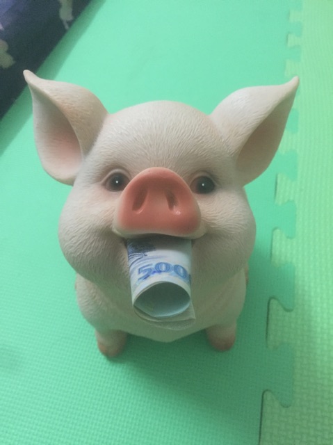 Lợn đất siêu xinh và cute