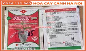 Combo 5 gói CHẾ PHẨM STARNER 20WP Nhật Bản gói 10g