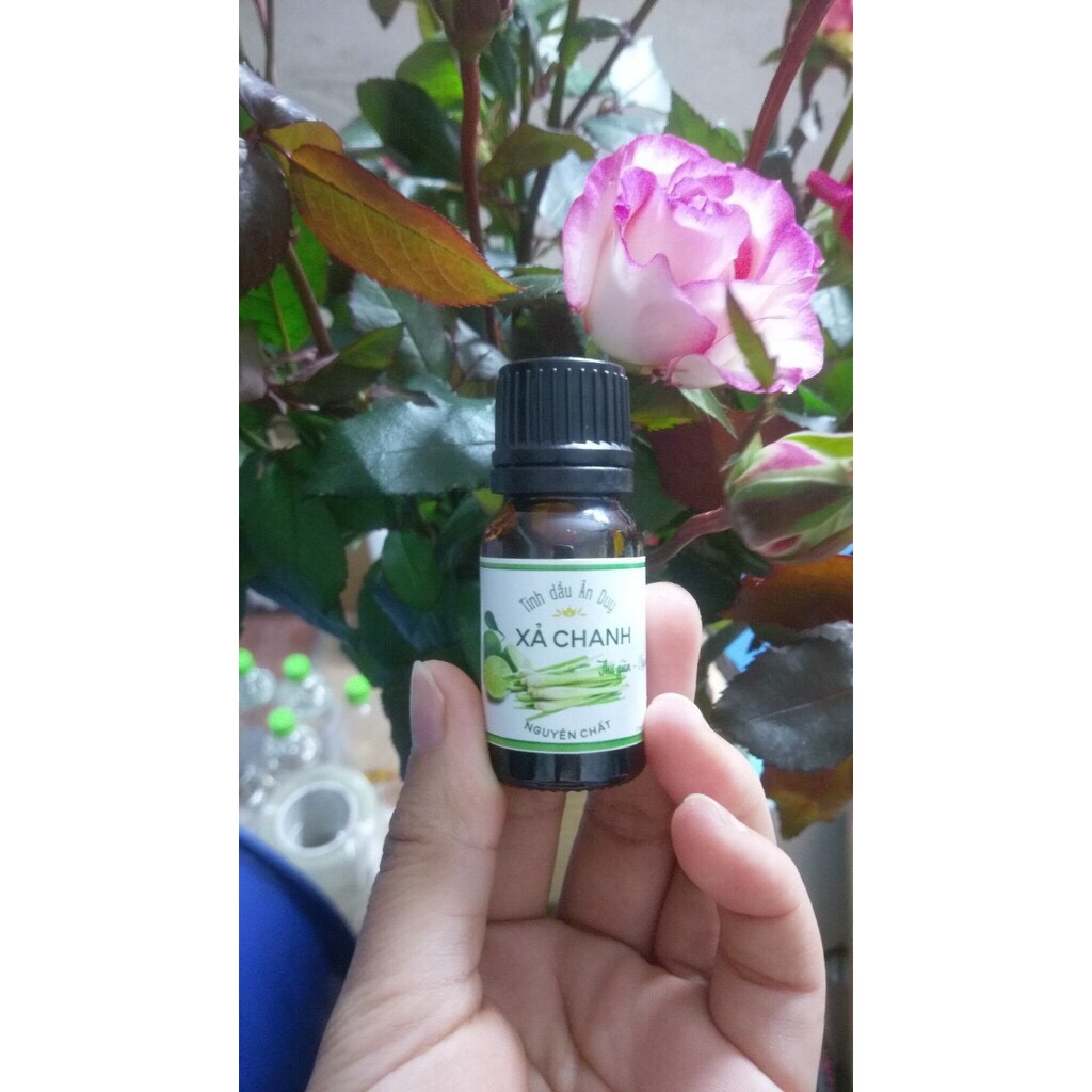 Tinh dầu sả chanh 100ML: