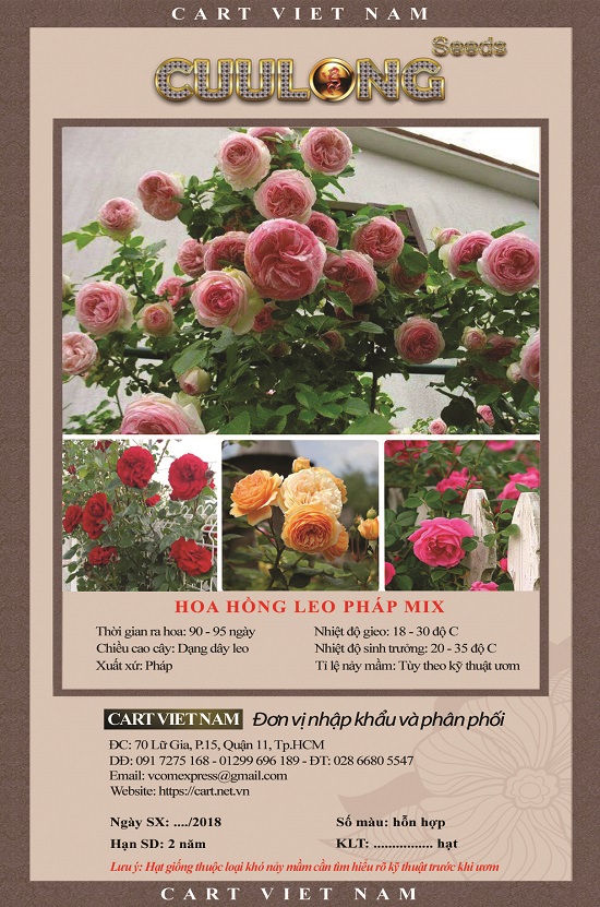 Hạt giống hoa hồng leo pháp nhiều màu