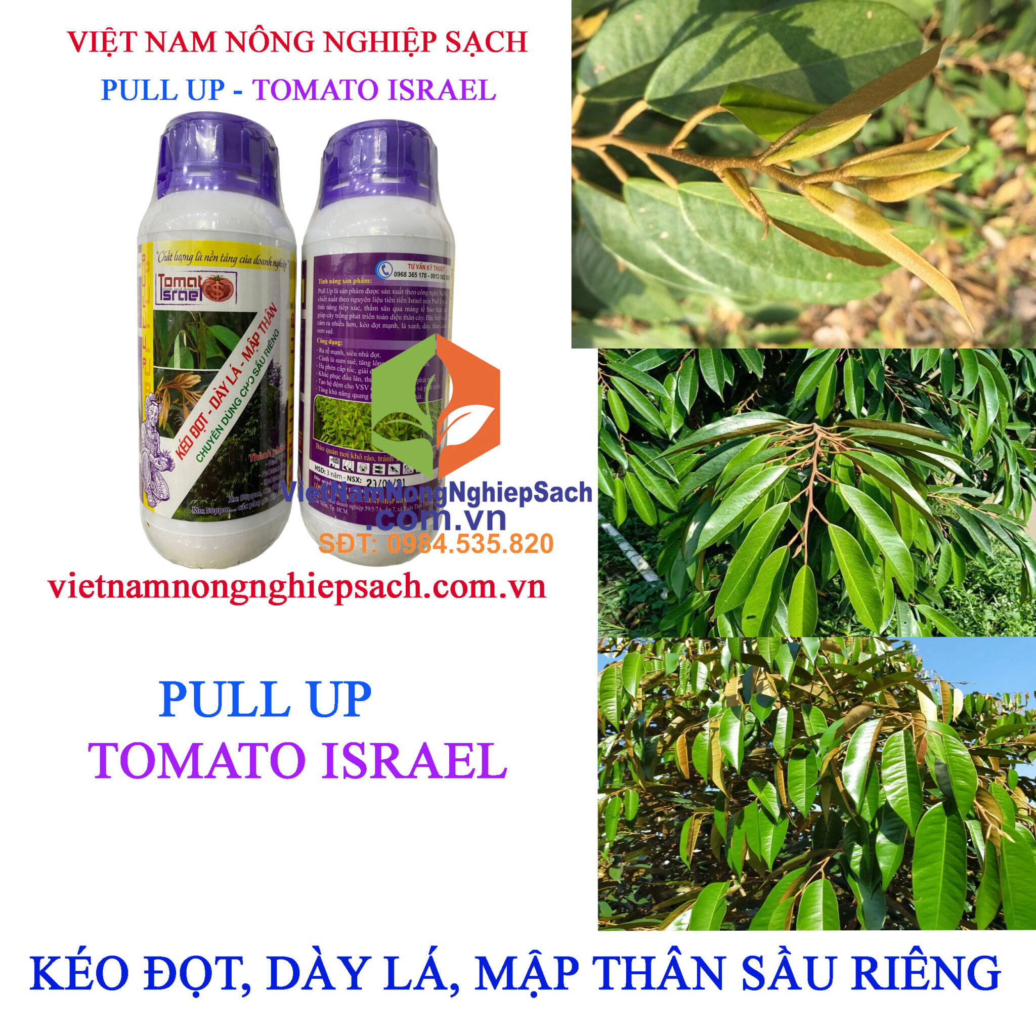 PULL UP – CTY TOMATO ISRAEL KÉO ĐỌT, DÀY LÁ, MẬP THÂN CHAI 500ML