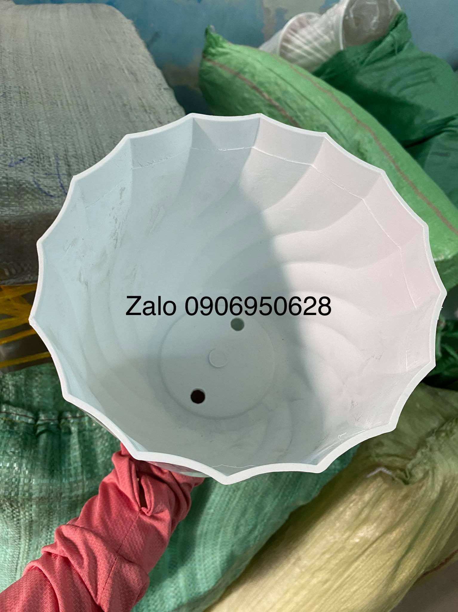 Chậu nhựa ống xoắn 21 (kèm dĩa lót)