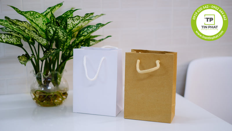 TÚI GIẤY CÓ SẴN - KHÔNG IN - ĐỦ KÍCH THƯỚC