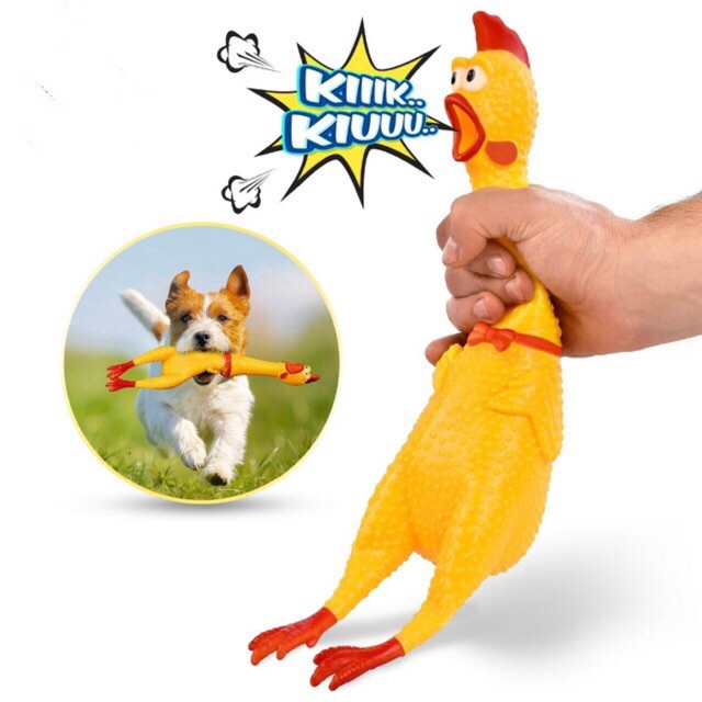 Đồ chơi con gà la hét có kèn bíp cho chó