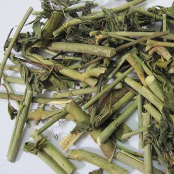 500gr Cây xương khỉ (cây bìm bịp) phơi khô hàng loại 1 GT158