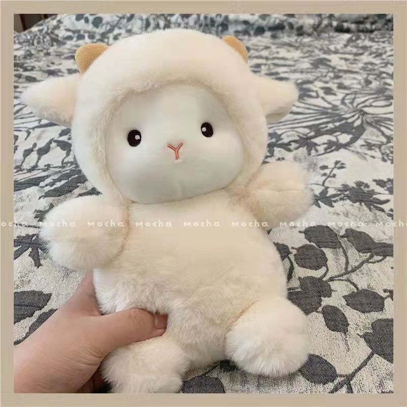 Cừu trắng lông xù cao cấp