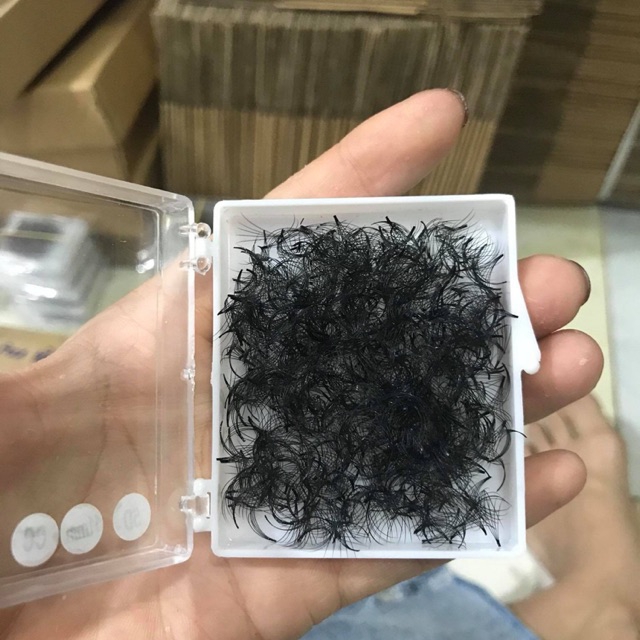 1 hộp mi fan 5d (1000 fan)