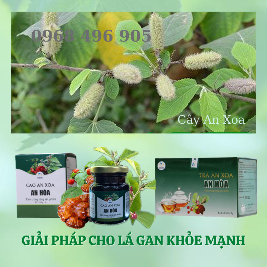 [HCM]CAO AN XOA AN HÒA