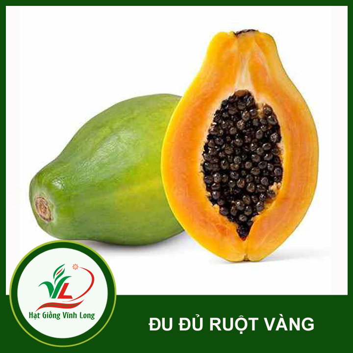Hạt giống đu đủ ruột vàng Vĩnh Tường - 5 hạt