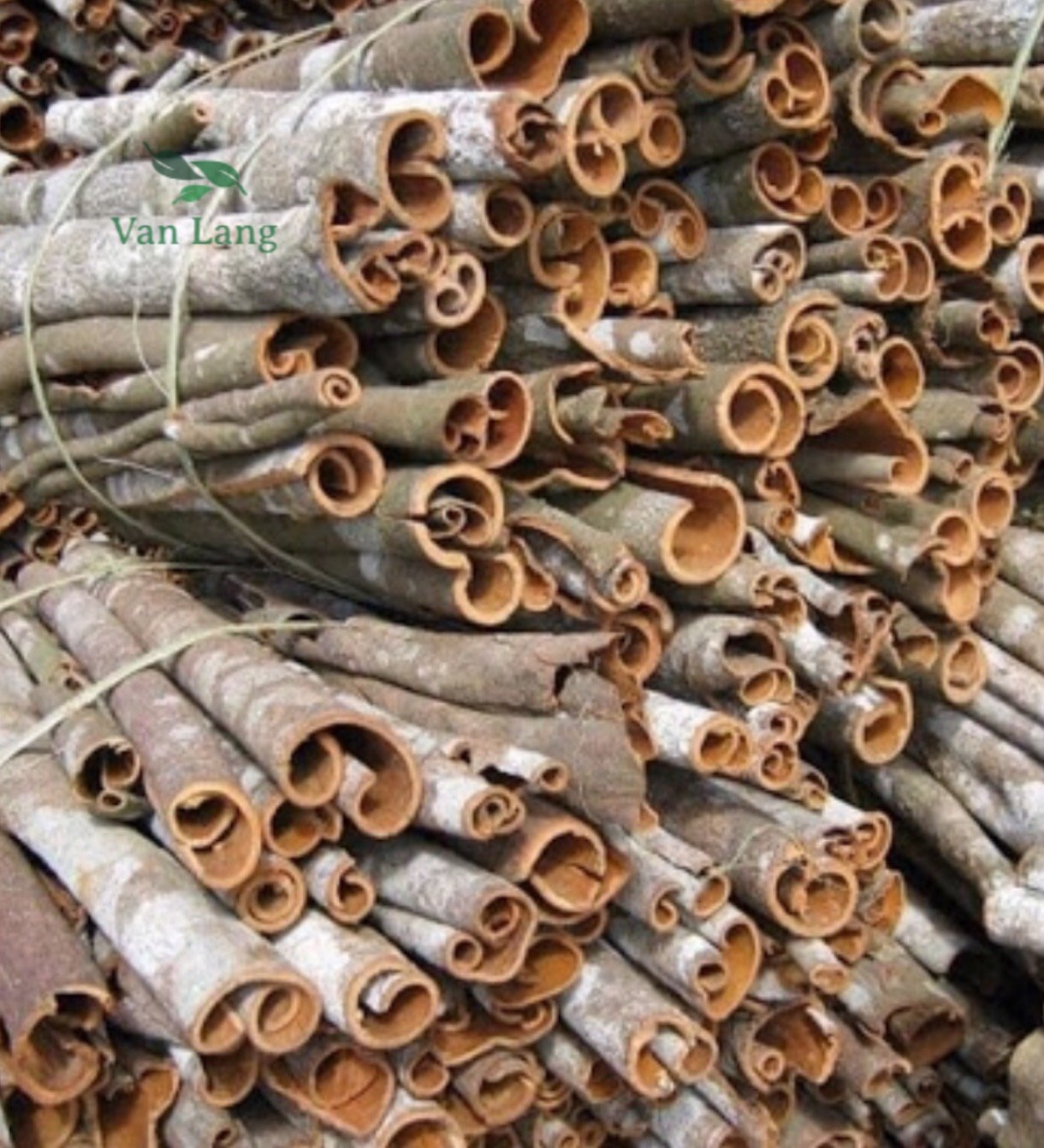 500g vỏ quế khô yên bái hàng chuẩn loại 1 - thơm ngon