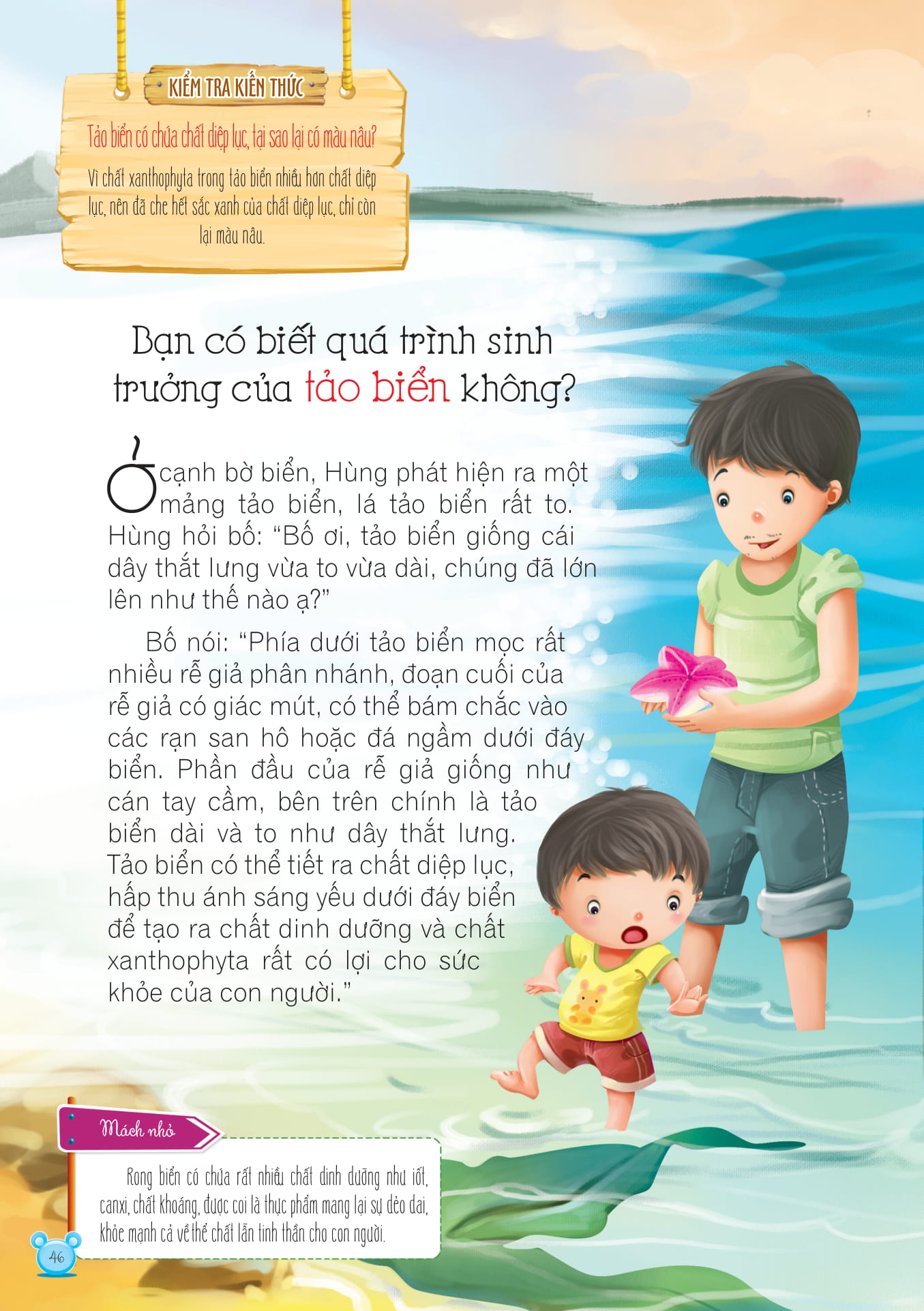 Fahasa - Hỏi Gì Cũng Biết - Bí Mật Về Thực Vật