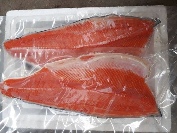 Combo 25kg Túi Hút CHân Không 2 Mặt Trơn