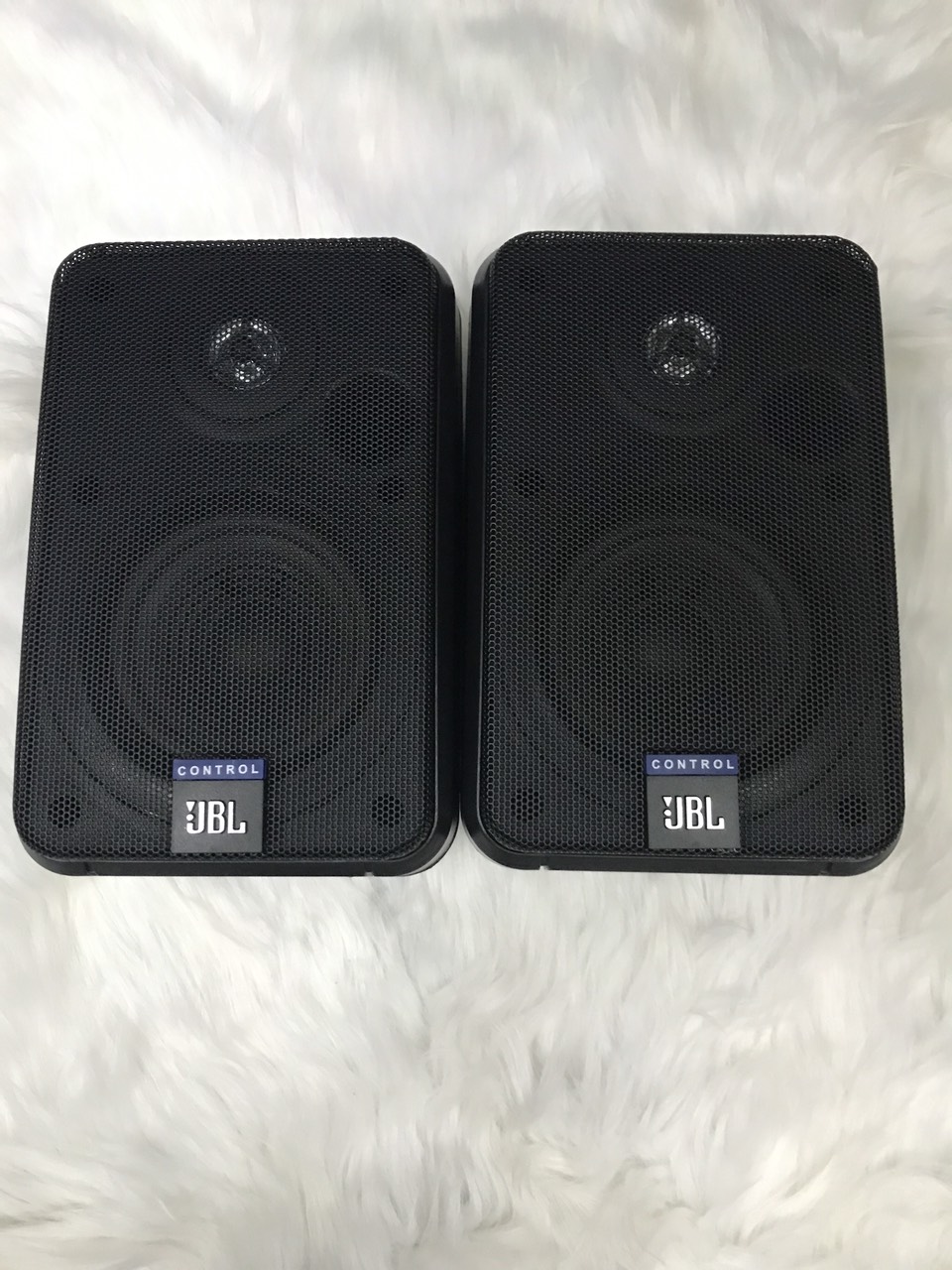 Loa treo tường ubl