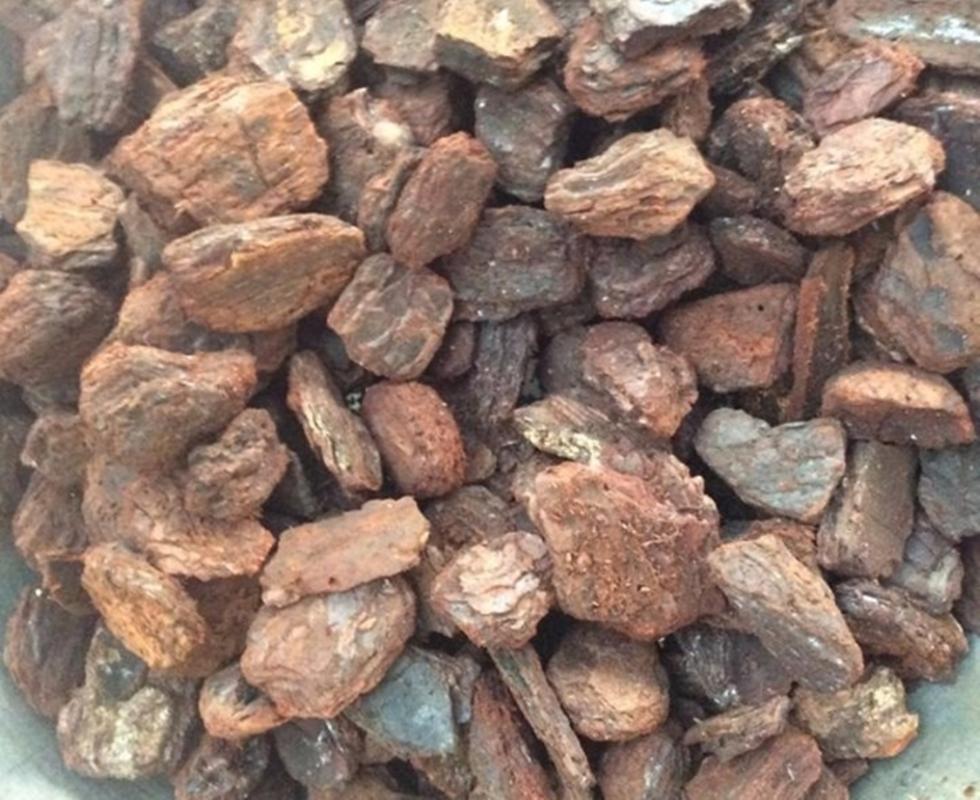 1 kg Vỏ Thông Trồng Lan đã xử lý nấm