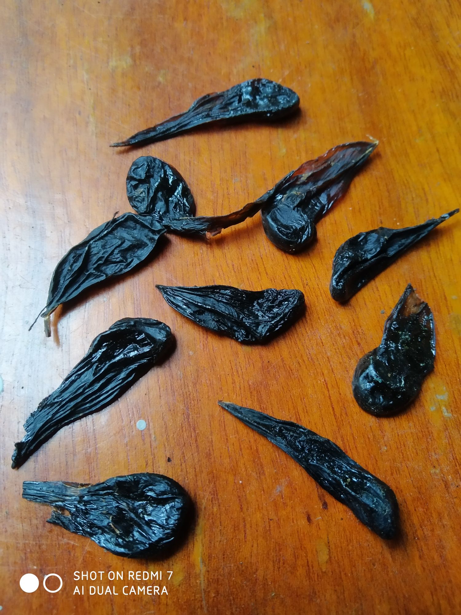 Mật kỳ đà