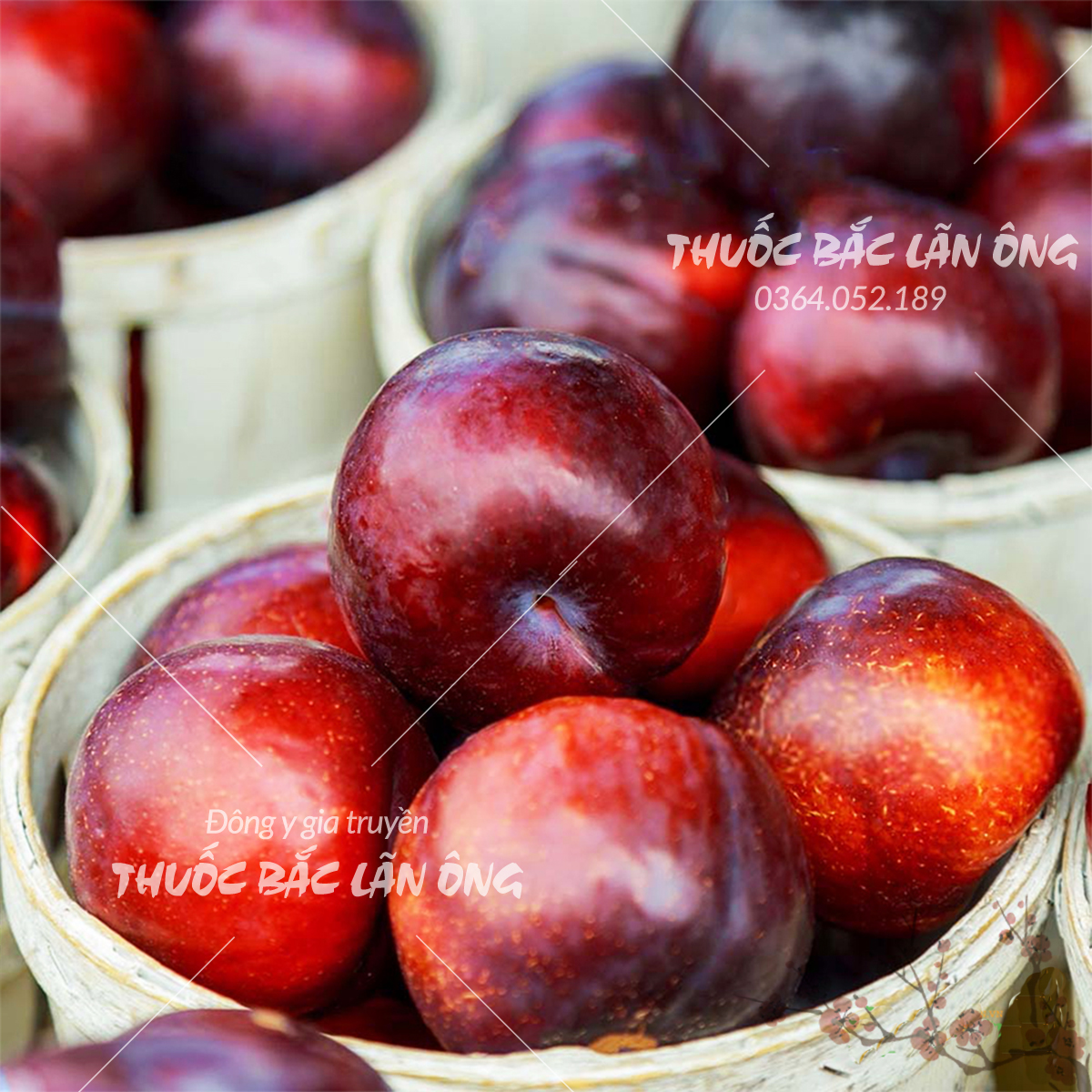 Sweet and Sour Red Plum Apricot (Plum Plum)
