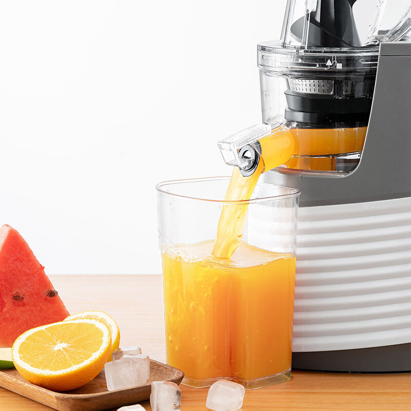 Máy ép chậm trái cây Bud JE-32