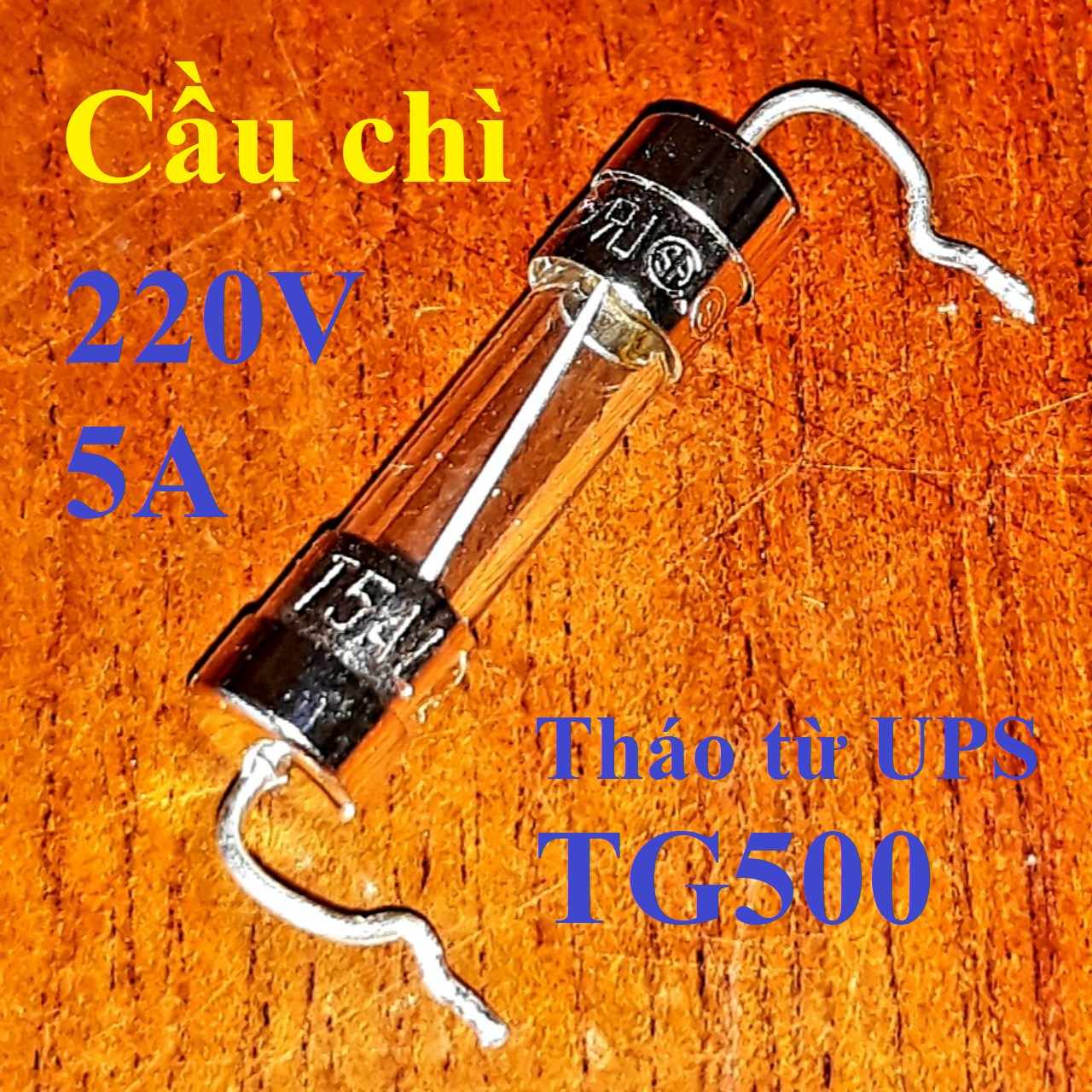 Mạch điện - cầu chì 220v / 5a tháo từ ups tg500