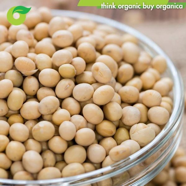 Đậu nành hữu cơ Mùa 1Kg