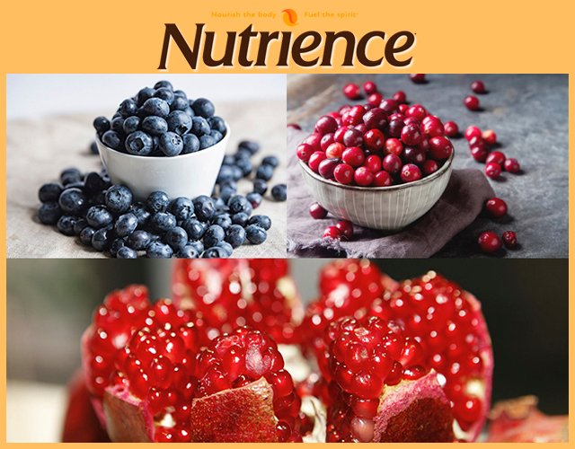 (500g Bag) Nutrience Subzero Cat Food