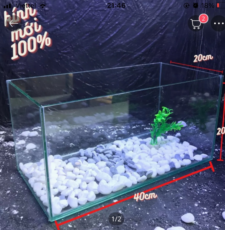 bể cá cảnh 40x20x20