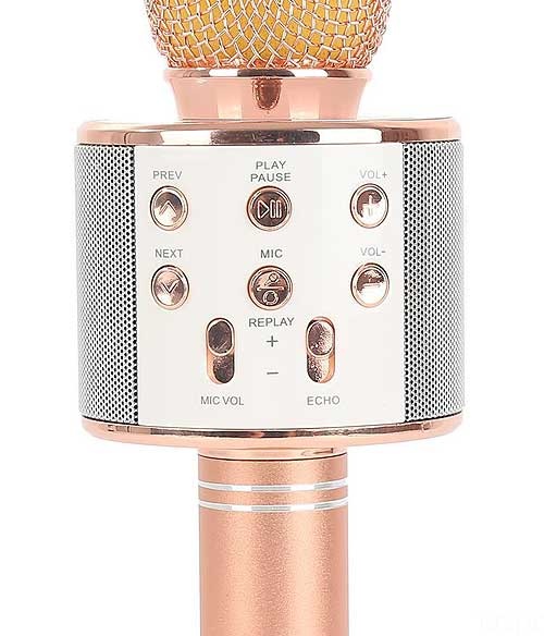 (Giá Huỷ Diệt) Micro kèm loa bluetooth WS-858 cực hot siêu đẹp siêu hay