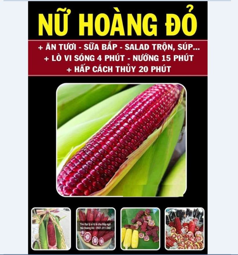 "Gói 30 Hạt " Hạt giống ngô Nữ Hoàng đỏ ( ngô ngọt đỏ )