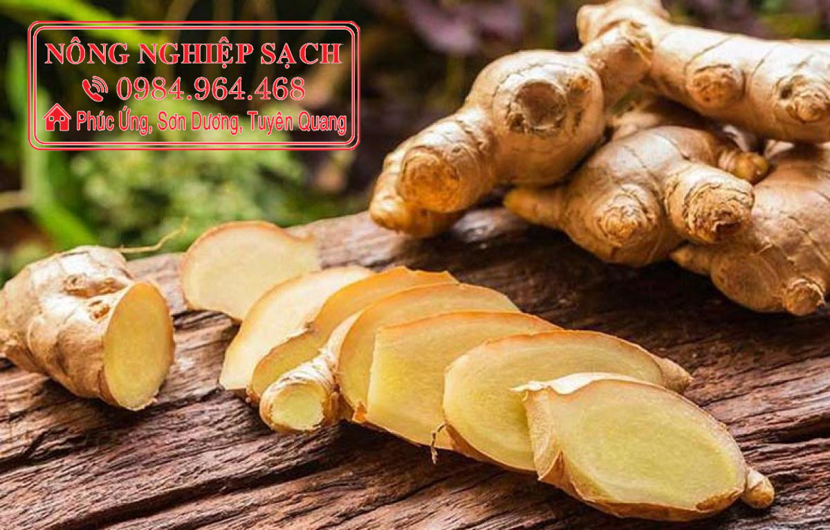1 kg củ gừng tươi