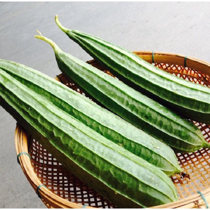Hạt Giống Mướp Hương - Mướp khía