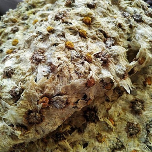 100g hoa cúc nở khô