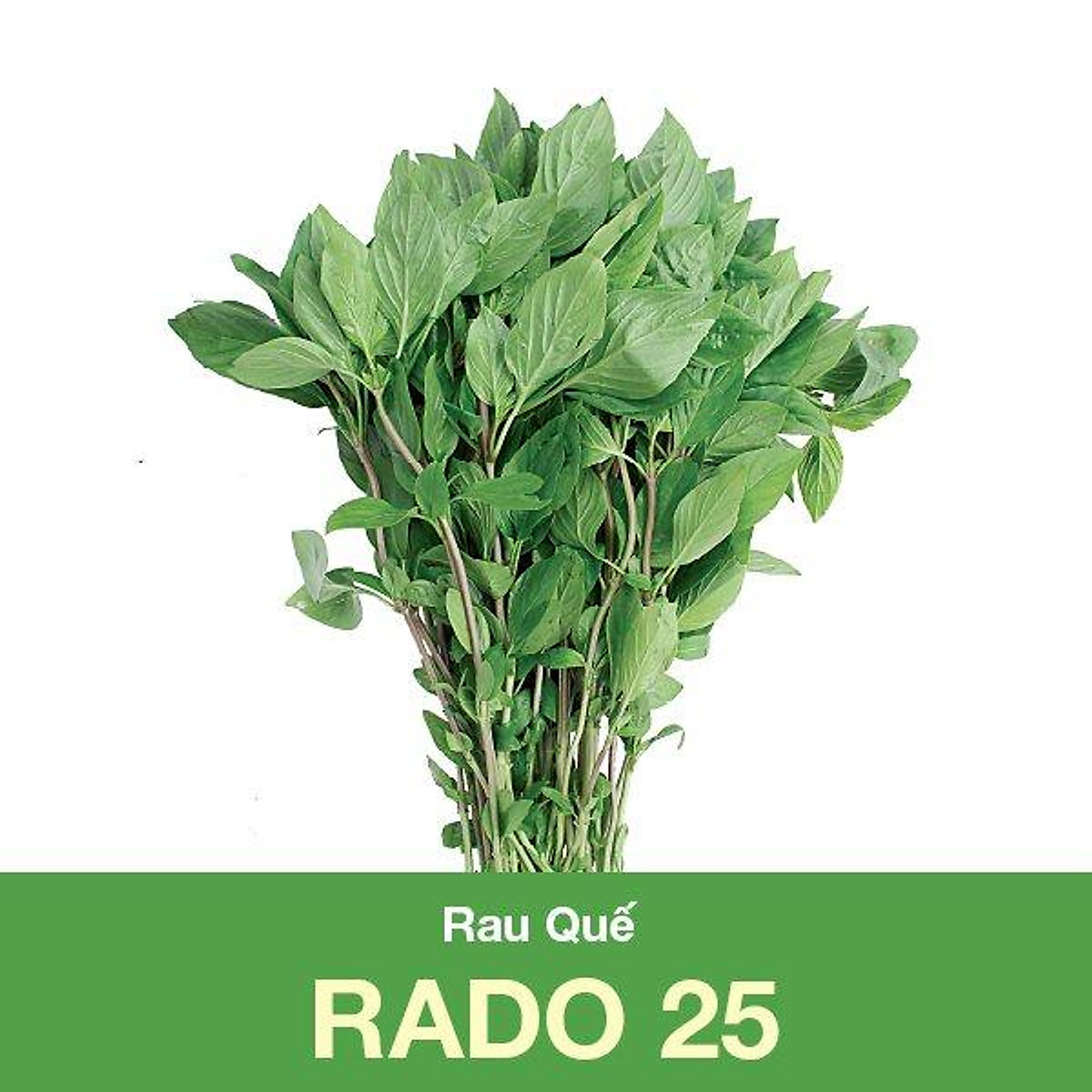 Hạt Giống Rau Sam Rado 683  Rạng Đông Gói 1Gram