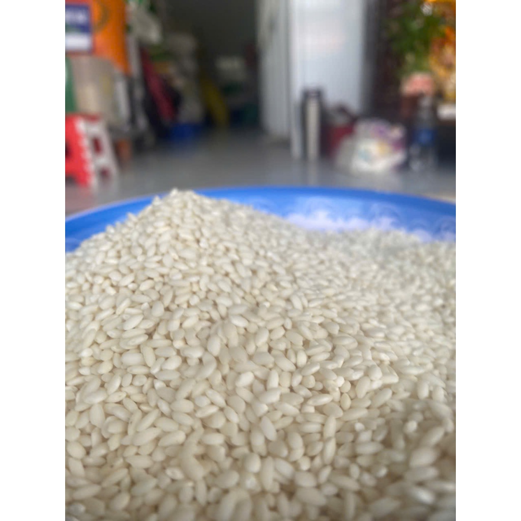 Nếp Cái Hoa Vàng  Hạt nếp Thơm Ngon, Dẻo Bùi