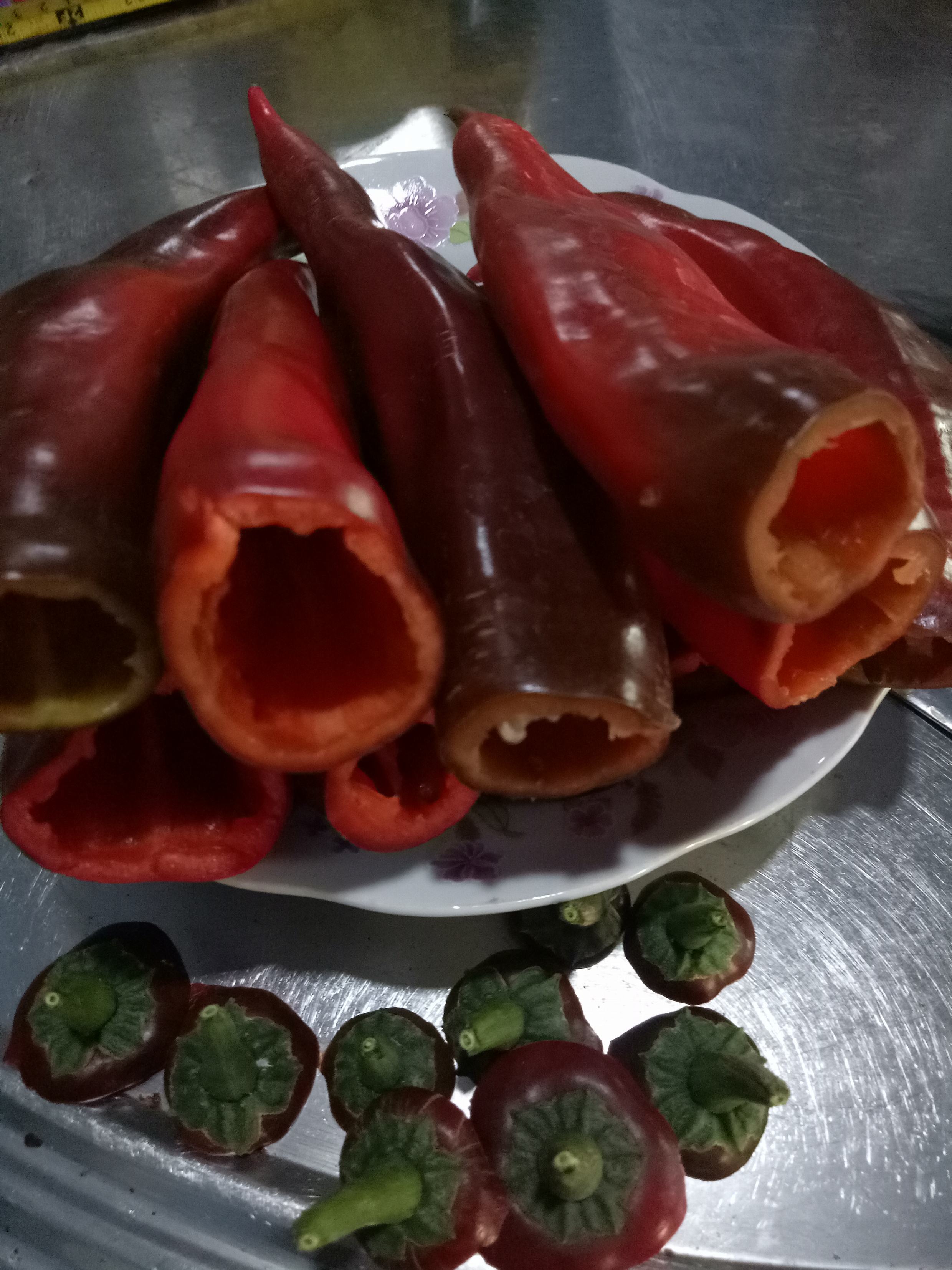 Combo 20 hạt ớt sừng bò (sừng trâu) khổng lồ