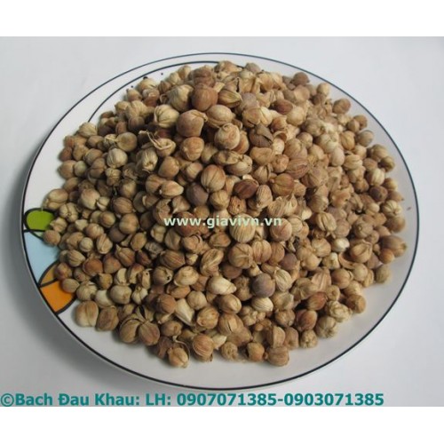 Hạt Bạch Đậu Khấu 100gram