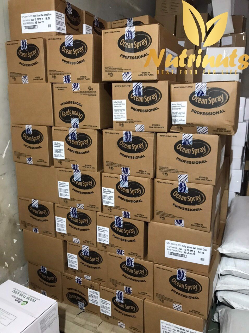 Nam việt quất sấy dẻo hũ 500g