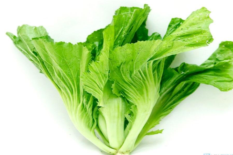[HCM]Hạt giống Cải bẹ dưa - PhuNongSeeds