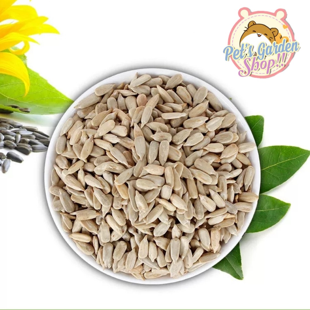 Hạt hướng dương tách vỏ - Thức ăn cho hamster