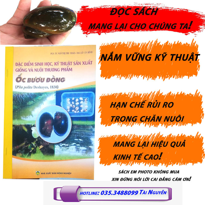 Sách hướng dẫn kỹ thuật nuôi ốc bươu Đen Đạt Chuẩn Sách Nông Nghiệp Nắm Rõ cách Chăn Nuôi Hiệu Quả Cao nhìu người đã đọc sách và nuôi đạt hiệu quả thành công trong chăn nuôi ốc tới 100% sau khi đọc sách