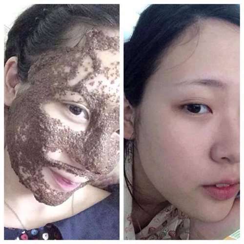 [HCM]1kg Ngũ hoa hạt - Hạt huỳnh lịch - Hạt lịch