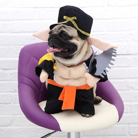 Áo cosplay cho thú cưng S, M, L (Inbox chọn mẫu)