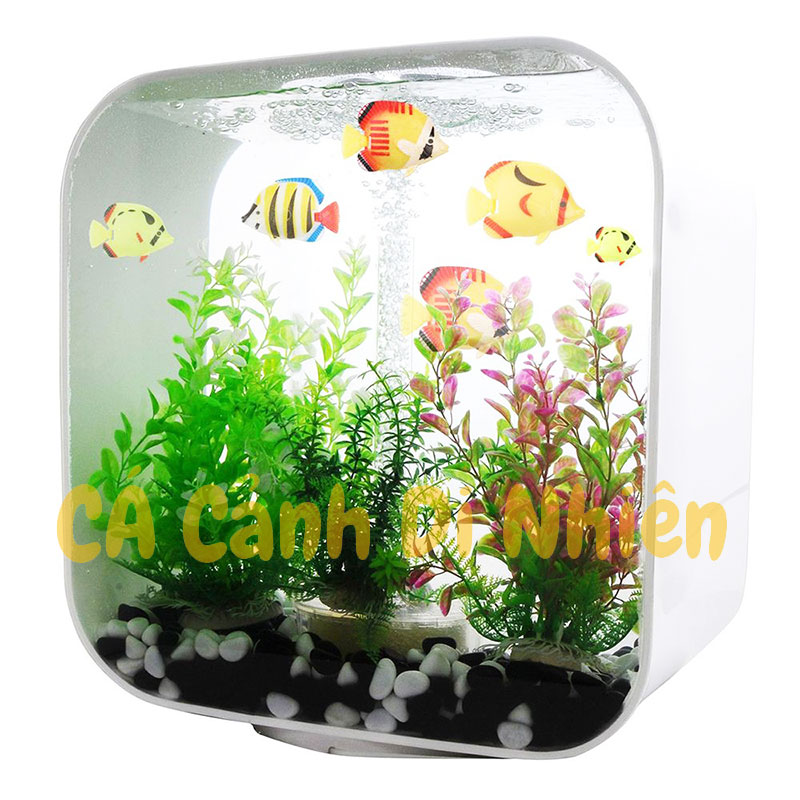 Compo 10 con Cá nhựa trang trí hồ cá bể cá cảnh size 4x5 cm