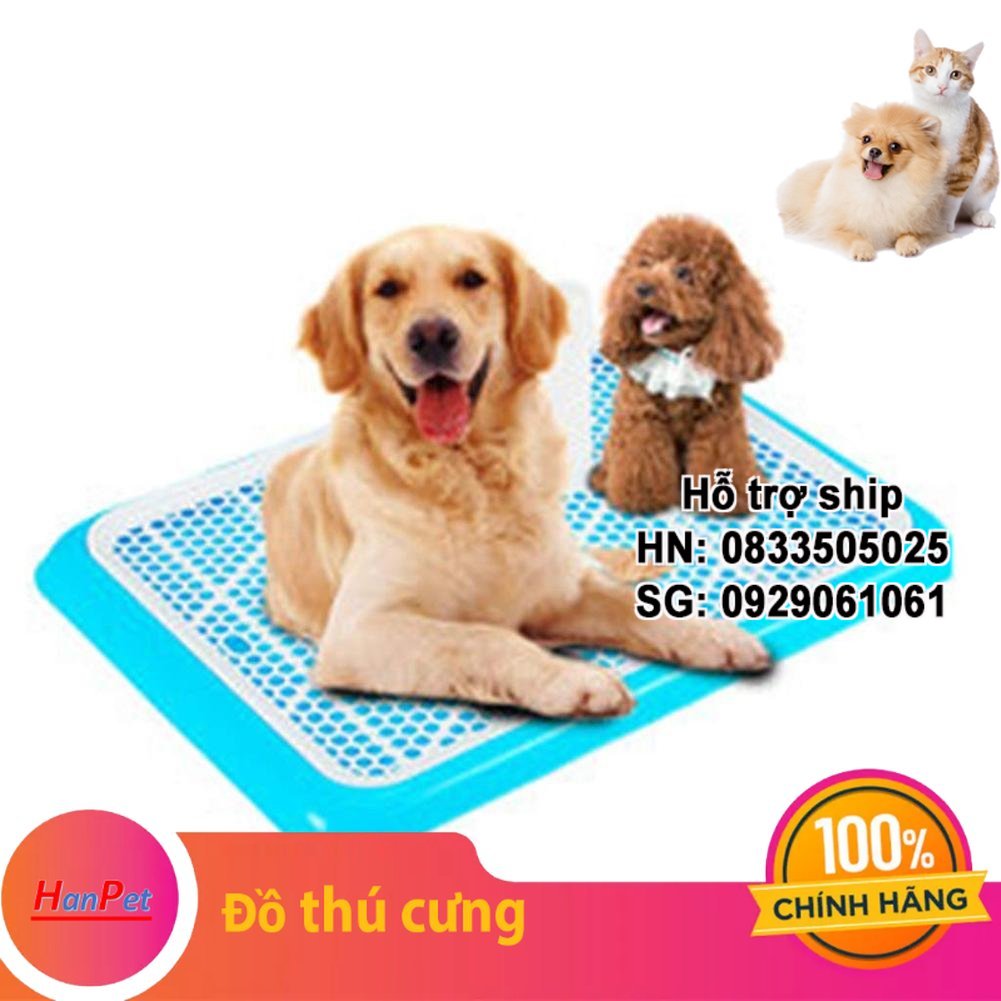 Hanpet - Khay vệ sinh cỡ lớn 65cm x 42cm cho chó cái hoặc chó đực đến 20kg loại khay vệ sinh cho chó lớn loại có cọc
