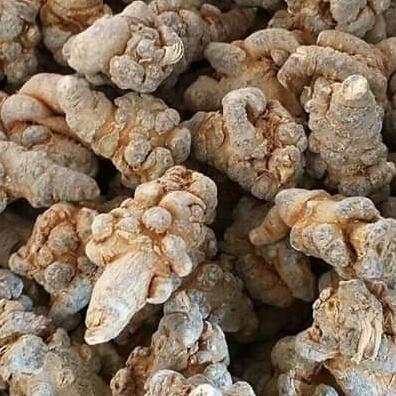 100g củ tam thất bắc