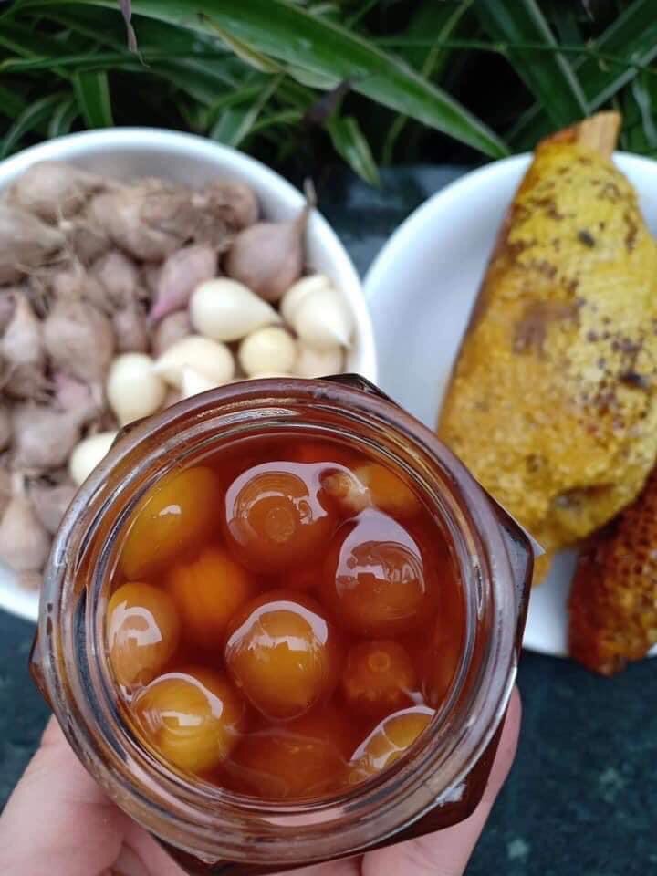 TỎI CÔ ĐƠN NGÂM MẬT ONG RỪNG (họp 2,2kg/650k )