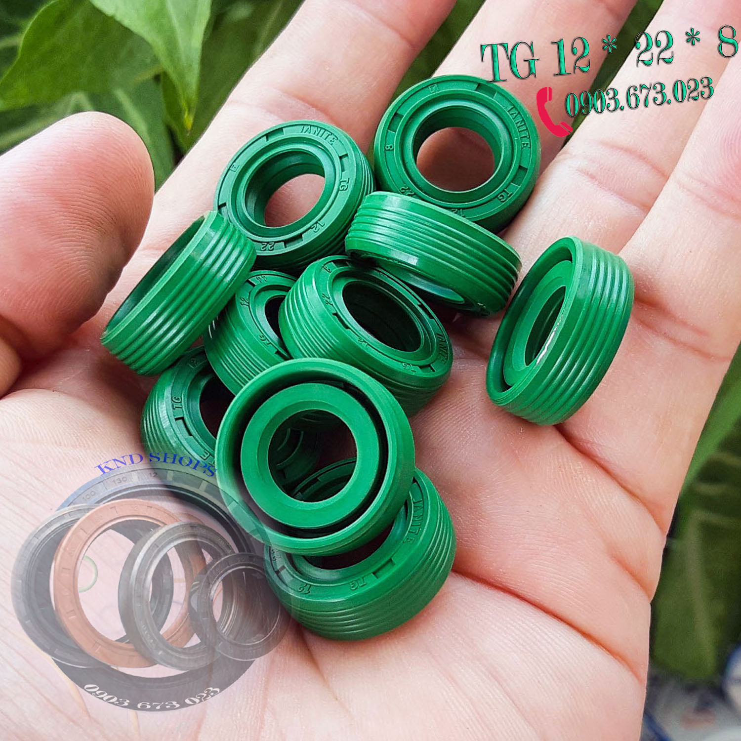 Phốt chặn dầu cần số Janite TG 12*22 cho xe GN125, GZ125, EN125, TNT15 và phốt máy cắt cỏ Janite TG 12*23*7