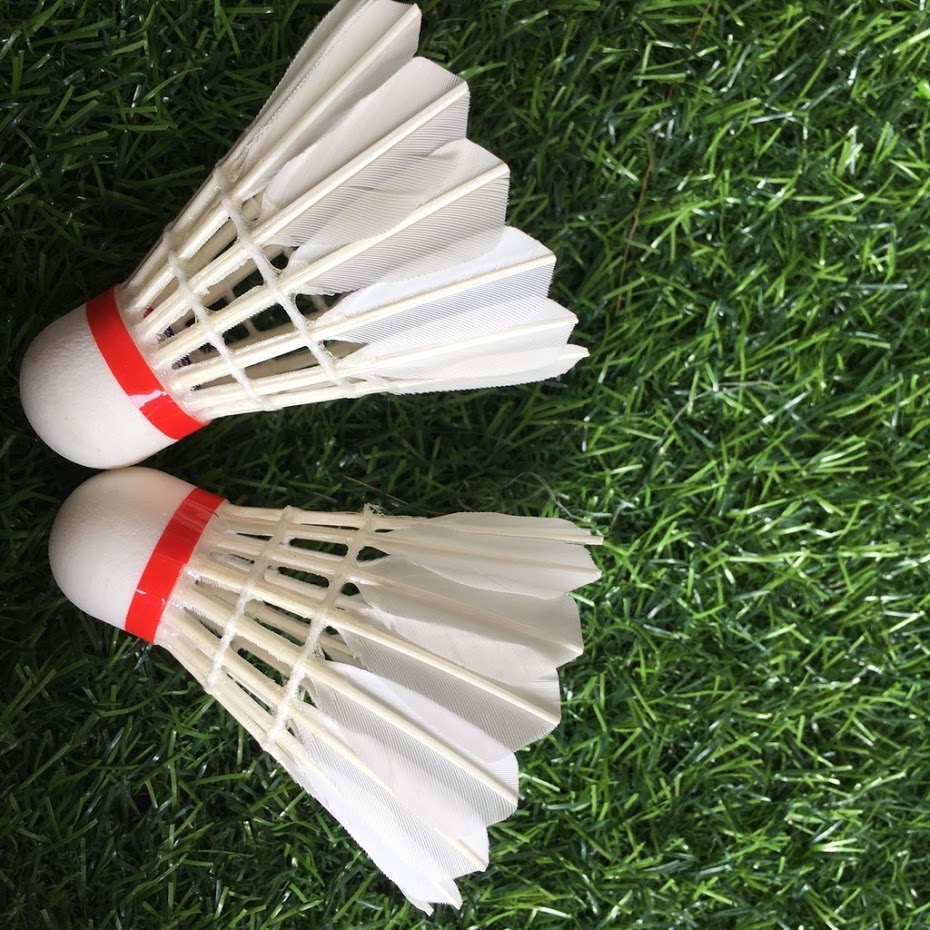 10 quả cầu lông 3 sao