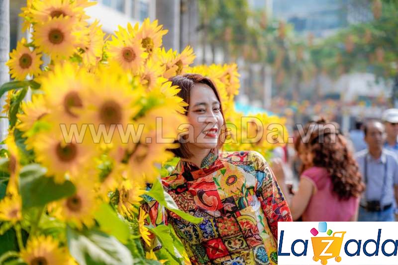 50h Hạt Giống Hoa Hướng Dương Tháp Siêu Bông (C1.401| -KD: B1*M209)