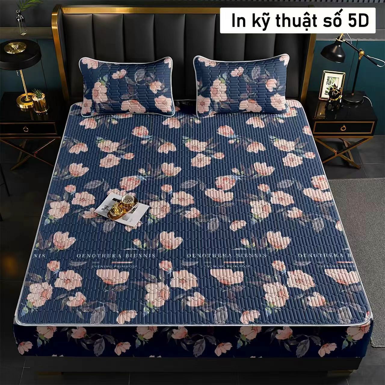 Chiếu cao su non bo chun loại 1m6 x 2m