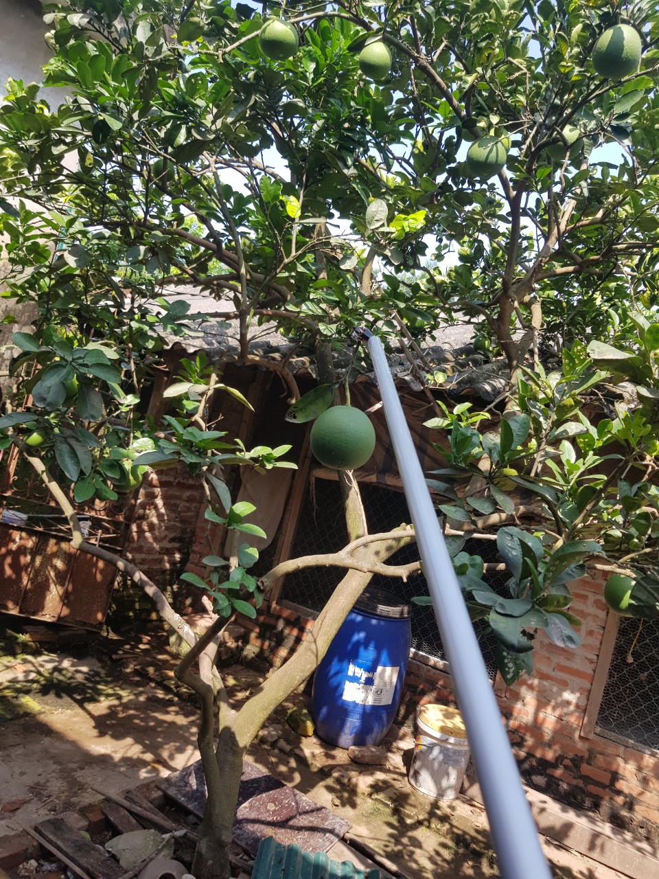 kéo cắt cành trên cao